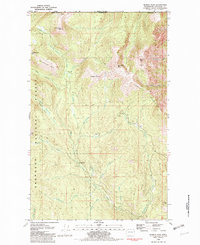 Hurley Peak 1981 topographic map thumbnail
