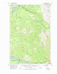 Kapowsin topographic map thumbnail