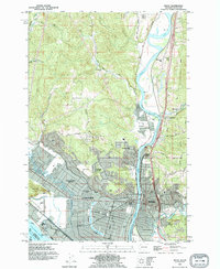 Kelso 1990 topographic map thumbnail