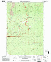King Mountain 1998 topographic map thumbnail