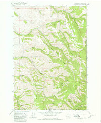 Kooskooskie 1966 topographic map thumbnail