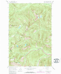 Labyrinth Mtn 1965 topographic map thumbnail