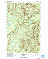 Lake Joy 1993 topographic map thumbnail
