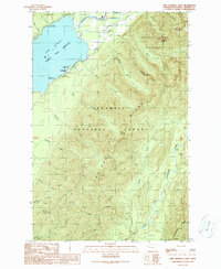 Lake Quinault East 1990 topographic map thumbnail