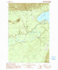 Lake Quinault West 1990 topographic map thumbnail