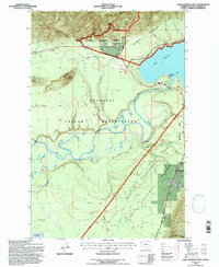 Lake Quinault West 1995 topographic map thumbnail
