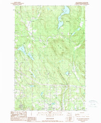 Lake Roesiger 1989 topographic map thumbnail