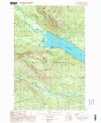 Lake Wenatchee 1989 topographic map thumbnail
