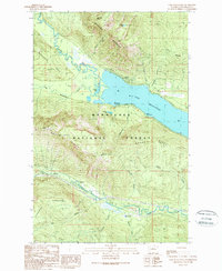 Lake Wenatchee 1989 topographic map thumbnail