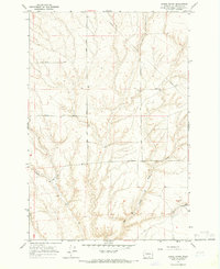 Lenzie Ranch 1965 topographic map thumbnail