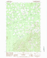 Little Huckleberry Mtn topographic map thumbnail