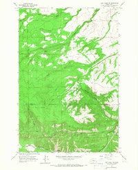 Logy Creek SW 1965 topographic map thumbnail