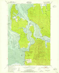 Long Island 1949 topographic map thumbnail