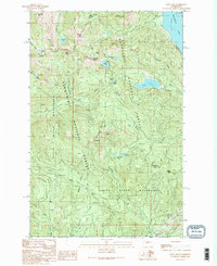 Lost Lake 1989 topographic map preview