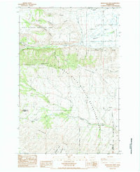 Manastash Creek 1984 topographic map thumbnail