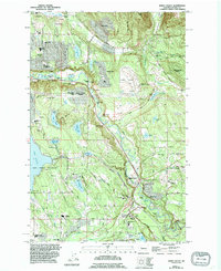Maple Valley 1995 topographic map thumbnail