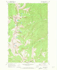 Martin Peak 1969 topographic map preview