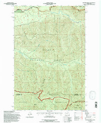 Matheny Ridge 1995 topographic map thumbnail