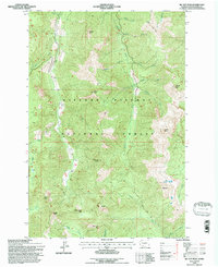 Mc Coy Peak topographic map thumbnail