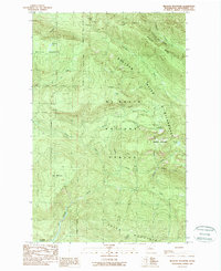 Meadow Mountain 1989 topographic map thumbnail