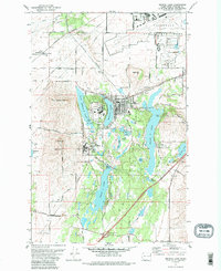 Medical Lake 1973 topographic map thumbnail