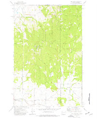 Mica Peak 1973 topographic map preview