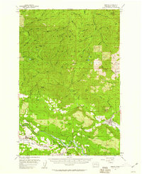 Morton 1957 topographic map preview