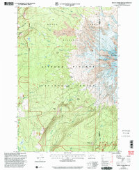 Mount Adams West 1998 topographic map thumbnail