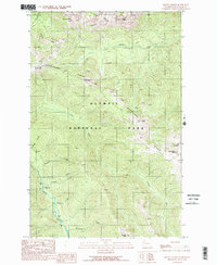 Mount Angeles 1990 topographic map preview