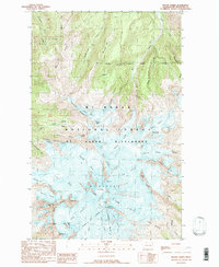 Mount Baker 1989 topographic map thumbnail