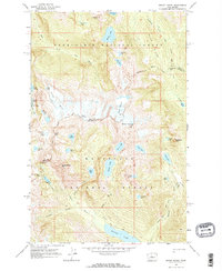 Mount Daniel 1965 topographic map thumbnail