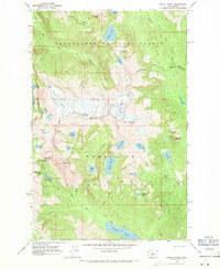 Mount Daniel 1965 topographic map preview