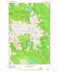 Mount Daniel 1965 topographic map preview