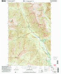 Mount David 2004 topographic map thumbnail