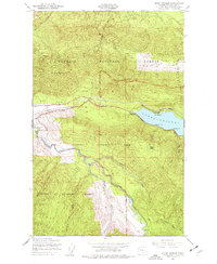 Mount Muller 1950 topographic map preview