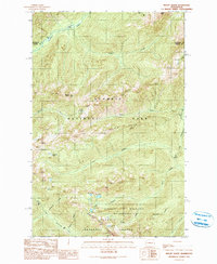 Mount Olson 1990 topographic map thumbnail
