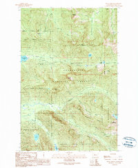 Mount Phelps 1989 topographic map preview