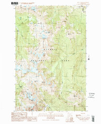 Mount Queets 1990 topographic map thumbnail