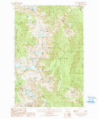 Mount Queets 1990 topographic map thumbnail