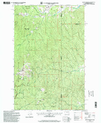 Mount Spokane 1996 topographic map thumbnail
