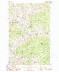 Mount Steel 1990 topographic map thumbnail