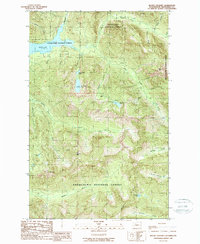 Mount Stickney 1989 topographic map thumbnail
