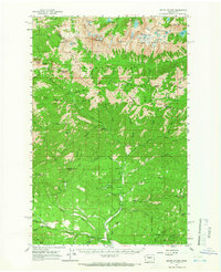 Mount Stuart 1961 topographic map preview