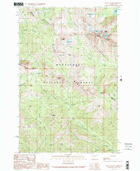 Mount Stuart 1989 topographic map preview