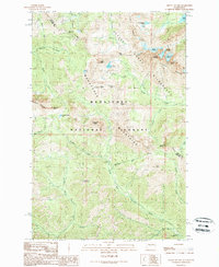 Mount Stuart 1989 topographic map preview