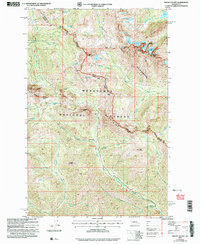 Mount Stuart 2003 topographic map thumbnail