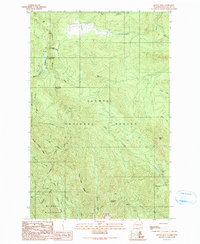 Mount Zion 1990 topographic map thumbnail