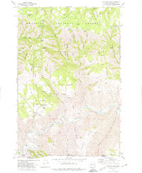 Mountain View 1971 topographic map preview
