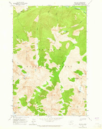Mt Lyall 1963 topographic map thumbnail