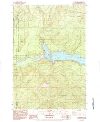 Mt Mitchell 1984 topographic map thumbnail